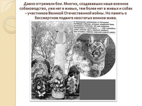 Память животным погибшим от руки человека