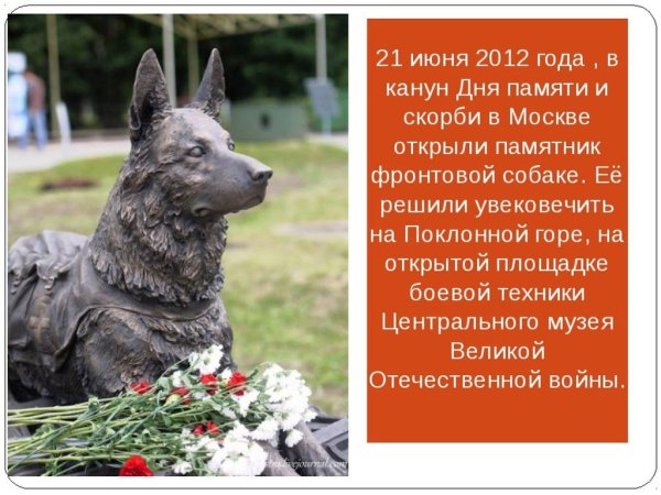 Памятники собакам героям Великой Отечественной войны