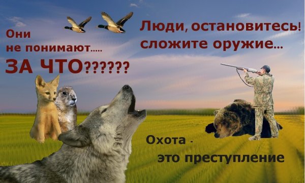 Против охоты на животных