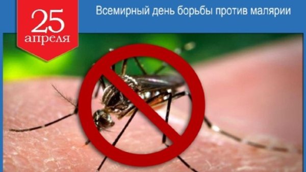 Способы борьбы с малярией
