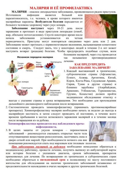 Малярийный плазмодий меры борьбы и профилактика