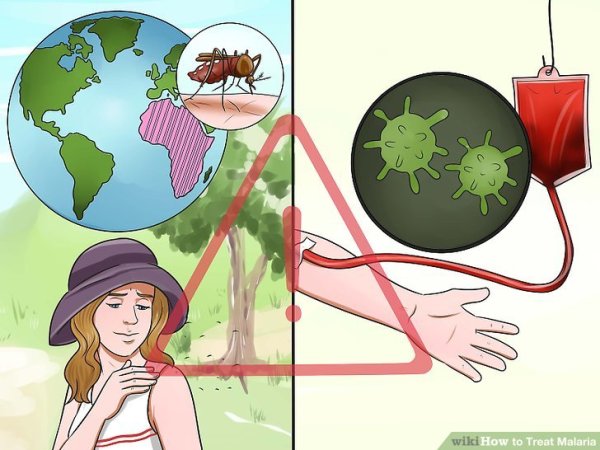 Малярии рисунок профилактика