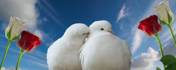 Любви и согласия