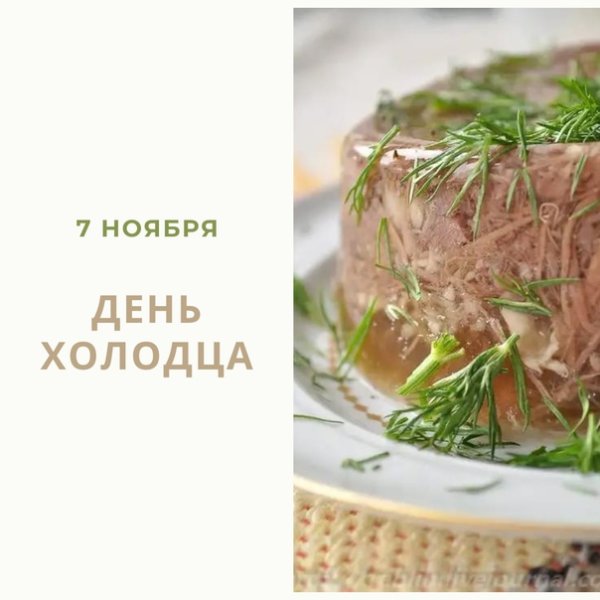 День холодца