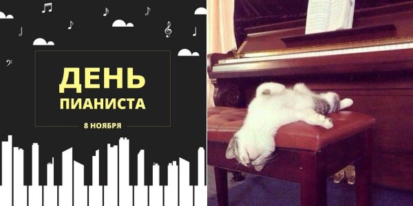 День пианиста