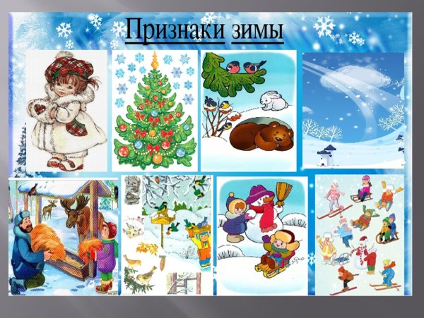 Зима признаки зимы
