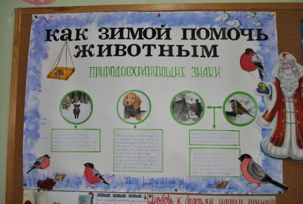 Как помочь животным в зимнее время