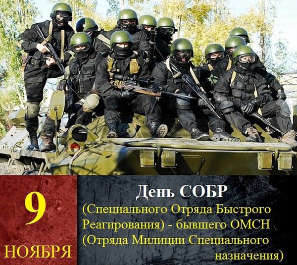 9 Ноября день специального отряда быстрого реагирования СОБР