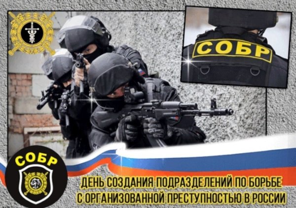 День отрядов милиции специального назначения