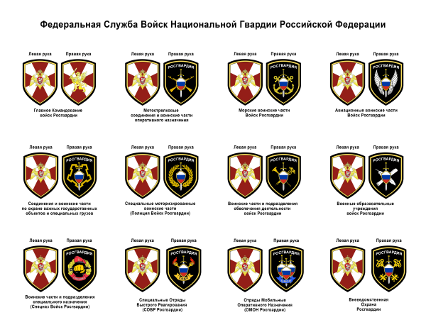 Шевроны ФСВНГ РФ