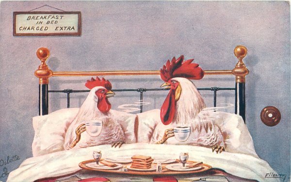 С добрым утром курица