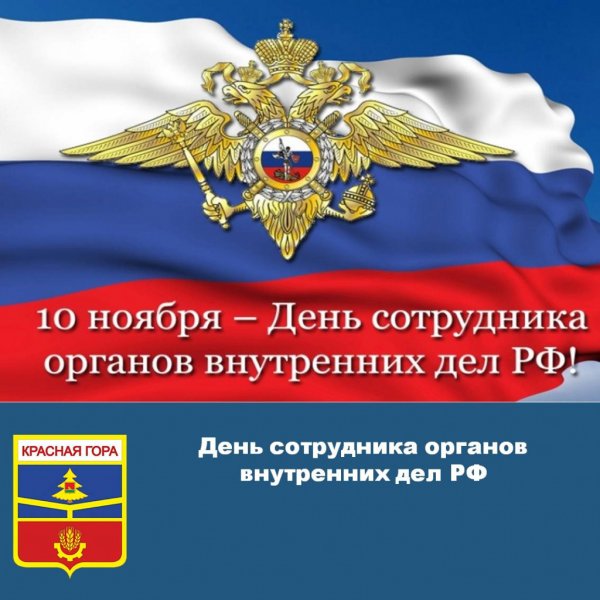 С днем сотрудника ОВД поздравления