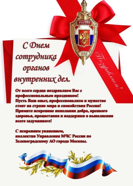 С днем сотрудника органов внутренних дел