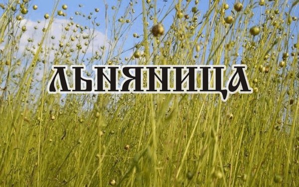 Алёна Льняница