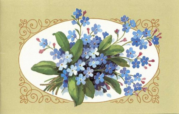 Открытки с незабудками