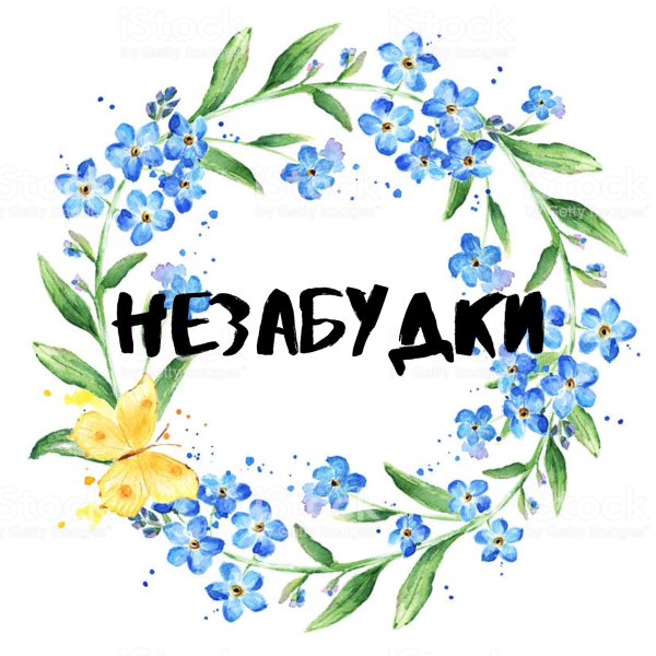 Группа незабудки в детском саду