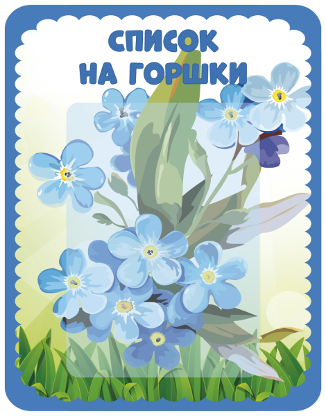 Группа незабудки в детском саду