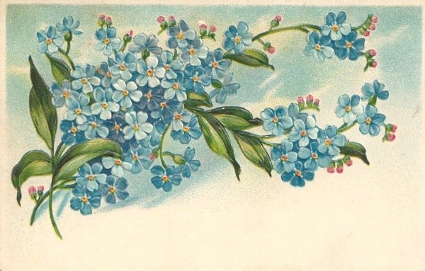 Незабудки для декупажа