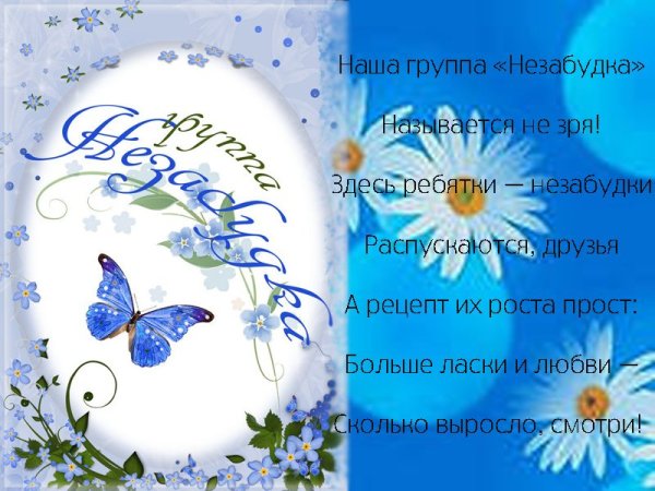 Группа незабудки в детском саду