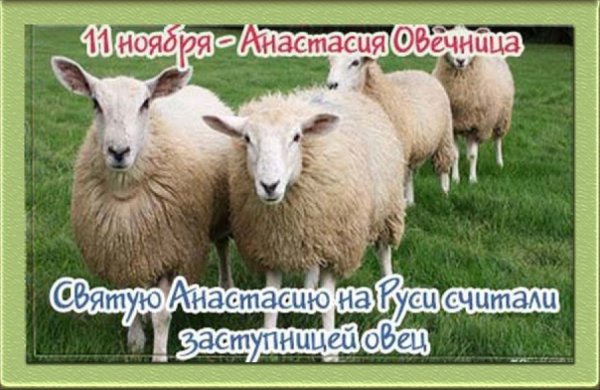 Аврамий овчар и Анастасия Овечница