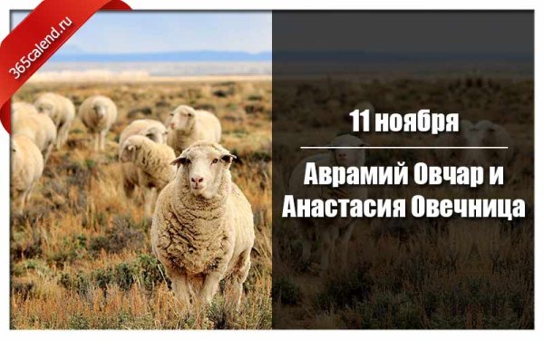 Аврамий овчар и Анастасия Овечница 11 ноября