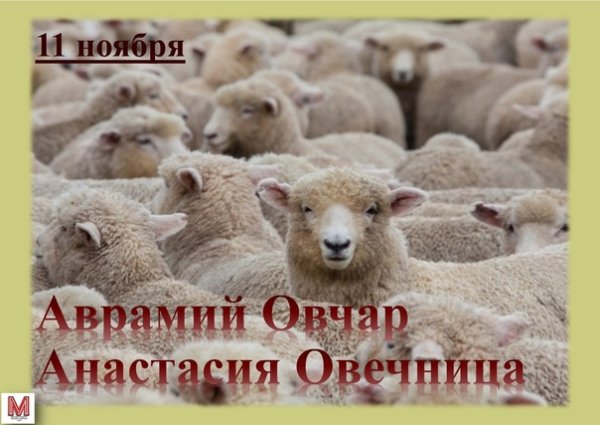 Аврамий овчар и Анастасия Овечница