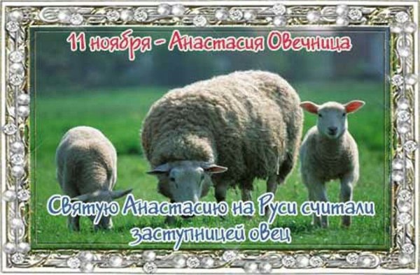 Аврамий овчар и Анастасия Овечница народный календарь