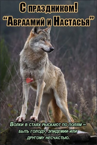 Аврамий овчар и Анастасия Овечница картинки