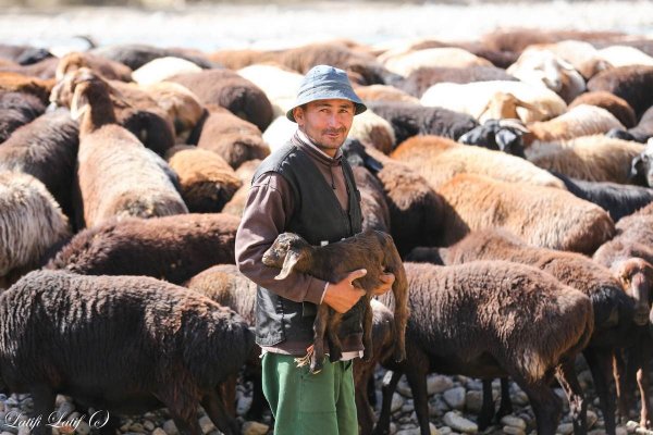Аврамий овчар и Анастасия Овечница