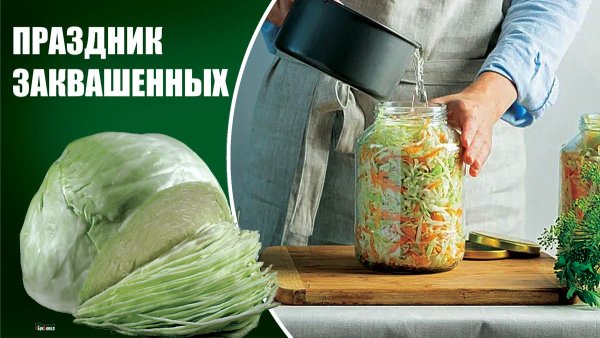 Праздник заквашенных 11 ноября