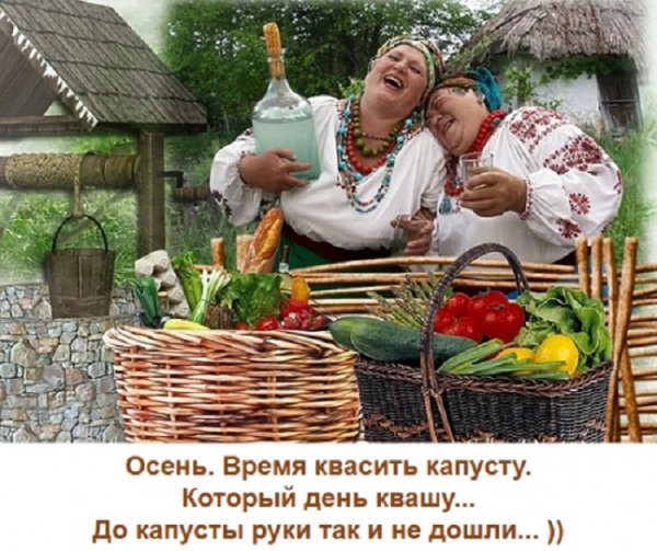 Квасить прикол