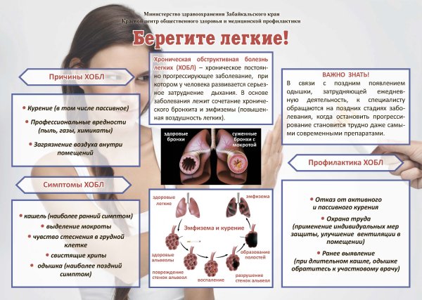 Всемирный день борьбы с хронической обструктивной болезнью легких