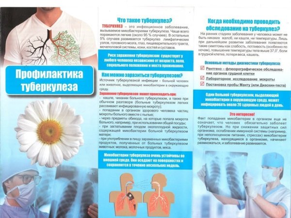 Профилактика туберкулеза у детей памятка