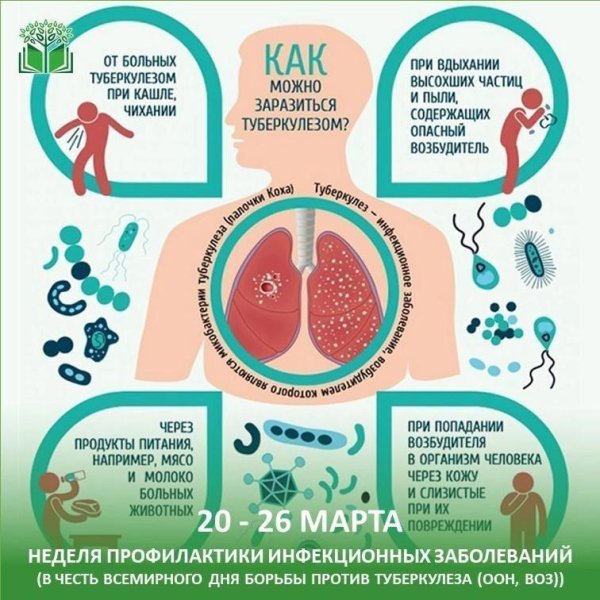 Механизм заражения туберкулезом