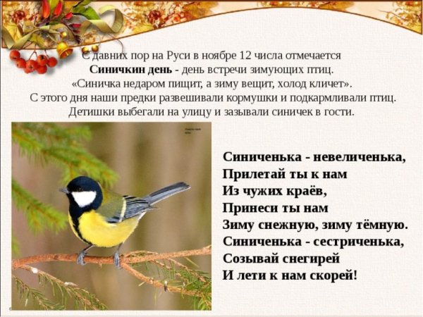12 Ноября день синички Синичкин день