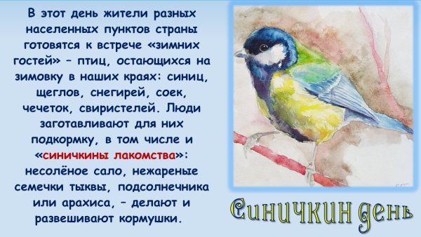 12 Ноября Синичкин день фон для презентации