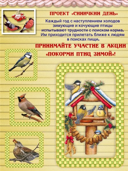 Плакат кормушка для пернатых