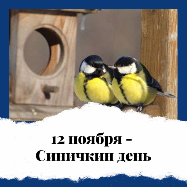 Праздник Синичкин день