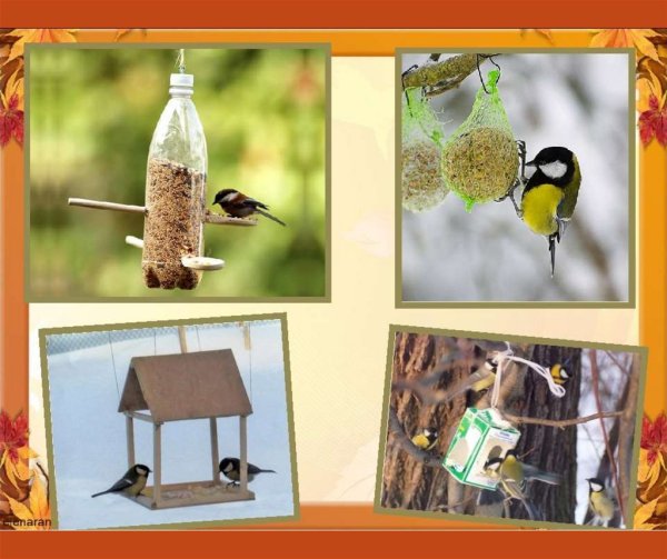 Экологичные кормушки для зимующих птиц