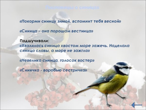 Покорми синицу