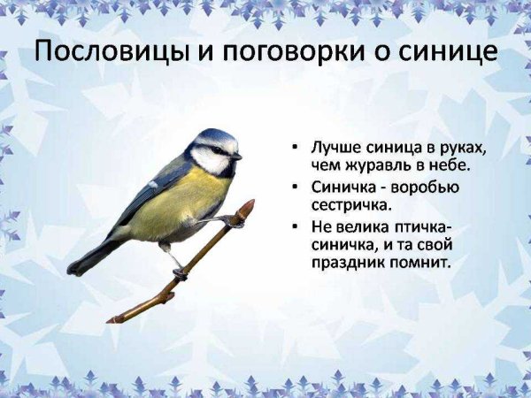 Пословицы про синицу для детей