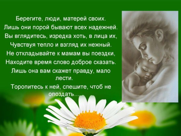 Берегите своих матерей стихи