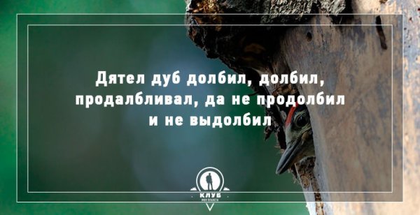 Всемирный день скороговорок