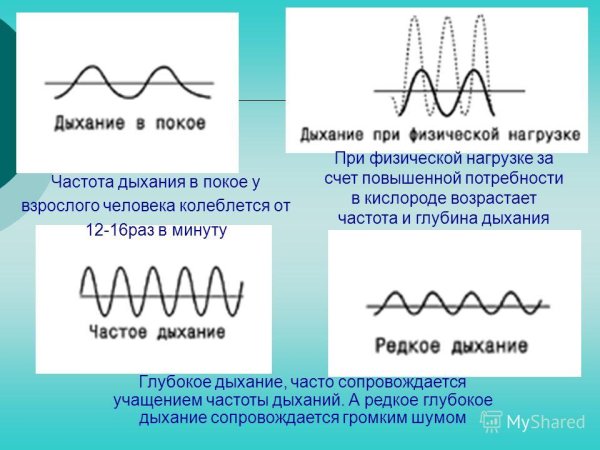 Частота дыхания при физических нагрузках