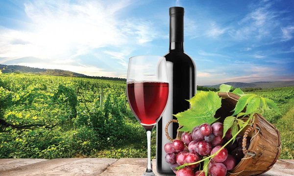 Закат красное вино виноград