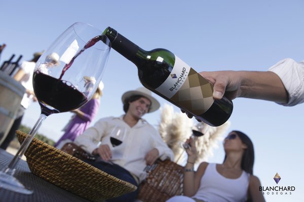 Винный туризм