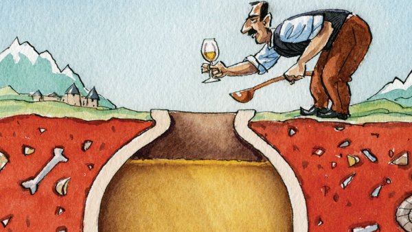 Вино карикатура
