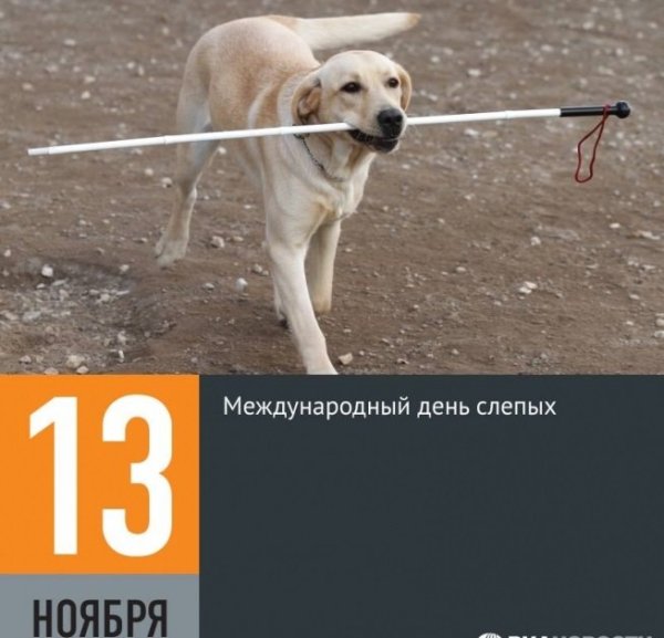 Международный день слепых