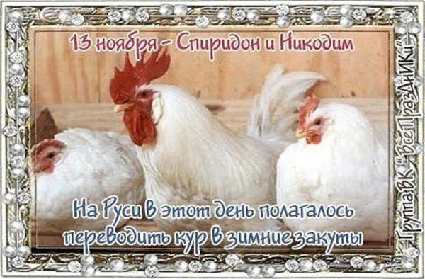13 Ноября Спиридон и Никодим приметы