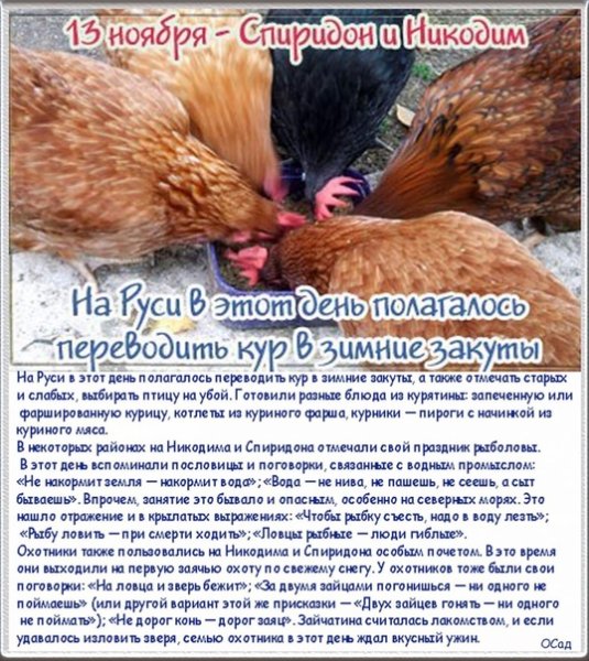 13 Ноября народный календарь